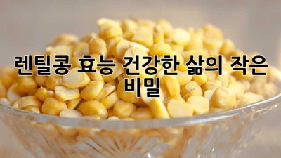 렌틸콩 효능: 건강한 삶의 작은 비밀